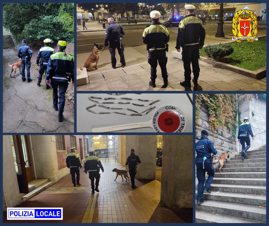 Polizia Locale di Trieste e l’Unità Cinofila del Distretto Polizia Locale Veneto Est